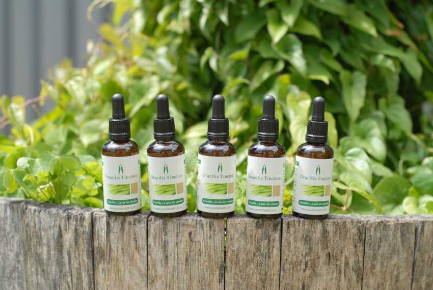 Gracilis Tincture - FAQ