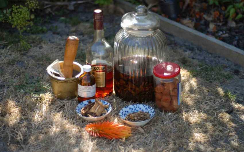 Gracilis Tincture - Ingredients